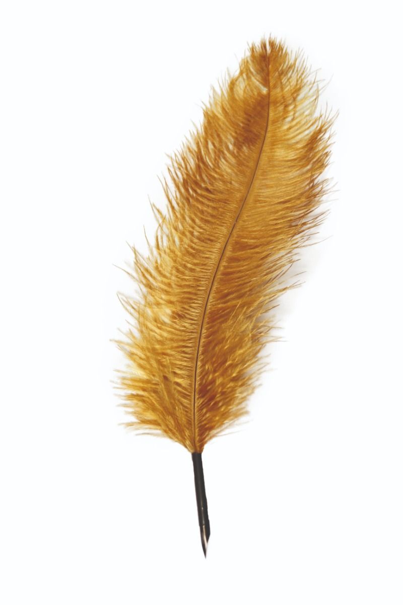 Quill Pen - Decorative - Gold