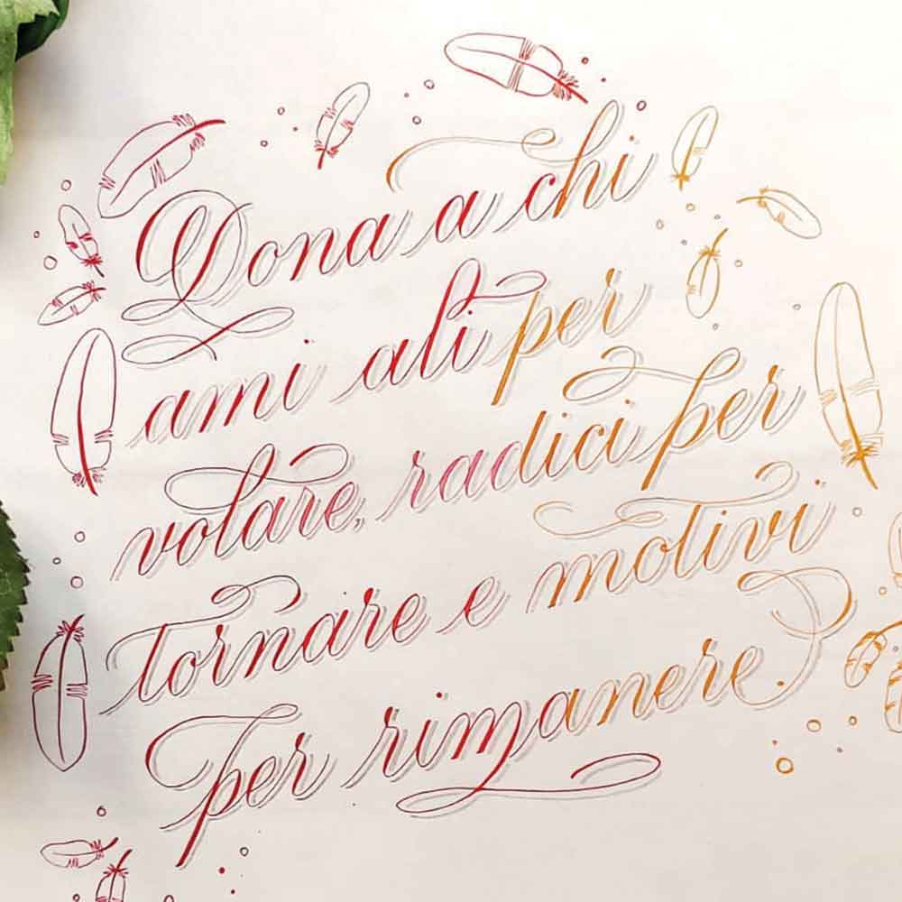 Cecila-AOTM-March-24.copperplate